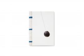 Harald Popp - Faserleben - Katalog - Kerstin Stakemeier - 2012 - 01