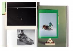 Harald Popp - Galerie Karin Guenther - Flugbahn der Eule 