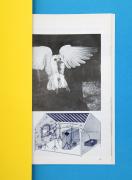 Harald Popp - Galerie Karin Guenther - Flugbahn der Eule 