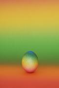 Harald Popp - Galerie Karin Guenther - 2014 