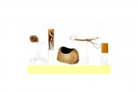 Harald Popp - Galerie Karin Guenther - 2014 